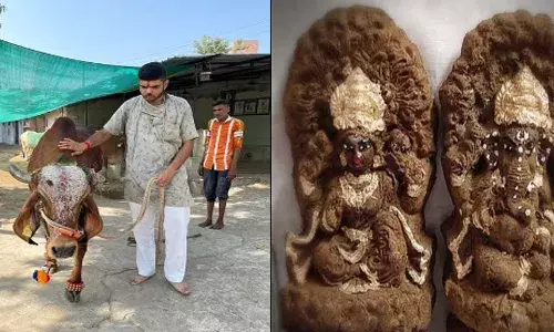 एक ऐसा डॉक्टर जो गाय के गोबर से प्रोडक्ट बनाकर दे रहा है गाँव वालों को रोजगार एक ऐसा डॉक्टर जो गाय के गोबर से प्रोडक्ट बनाकर दे रहा है गाँव वालों को रोजगार