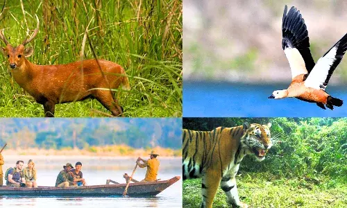 A Hidden Gem of Assam:Nameri National Park & Tiger Reserve