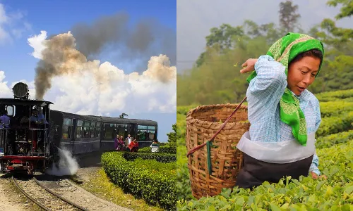 Top 5 Best Places to Visit in Darjeeling