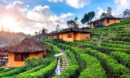 Explore Shillong: Nature’s Hidden Gem in Northeast India ✨